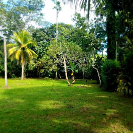 Casita Amarilla Villa Cahuita Exterior photo