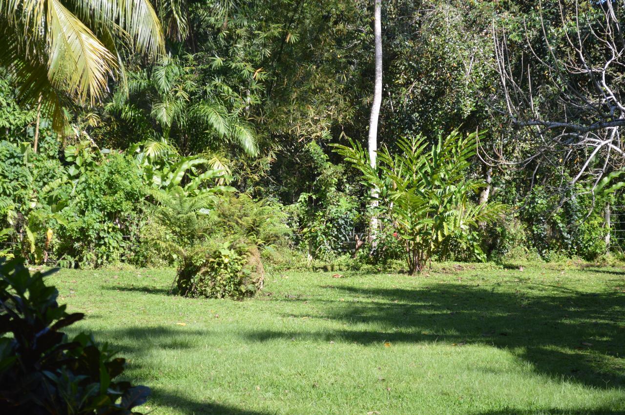 Casita Amarilla Villa Cahuita Exterior photo