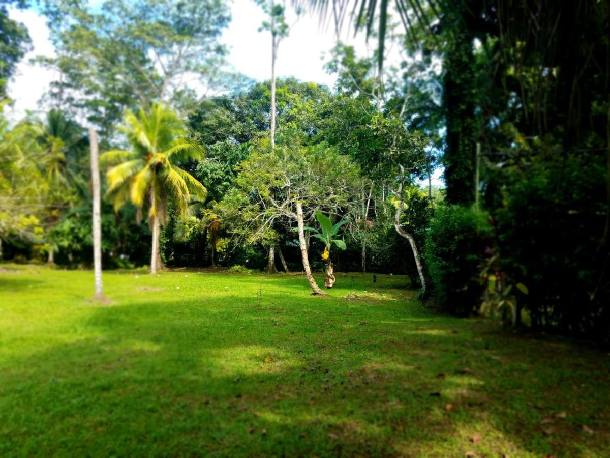Casita Amarilla Villa Cahuita Exterior photo